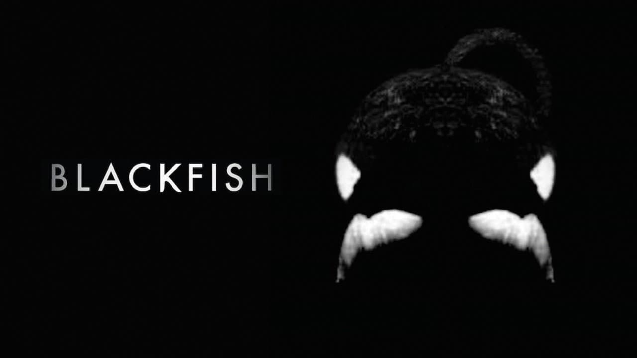 Blackfish still 7