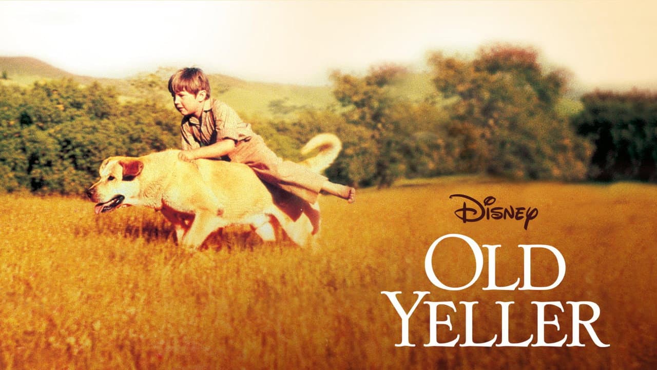Old Yeller still 5
