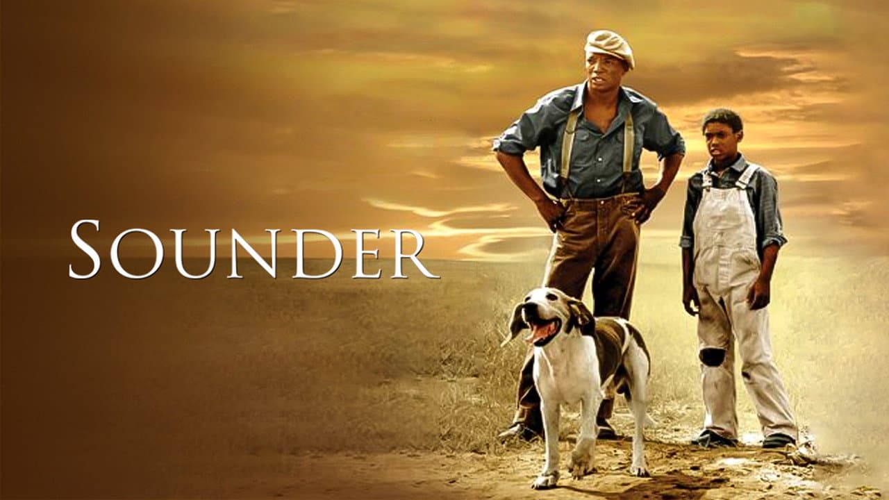 Sounder still 6