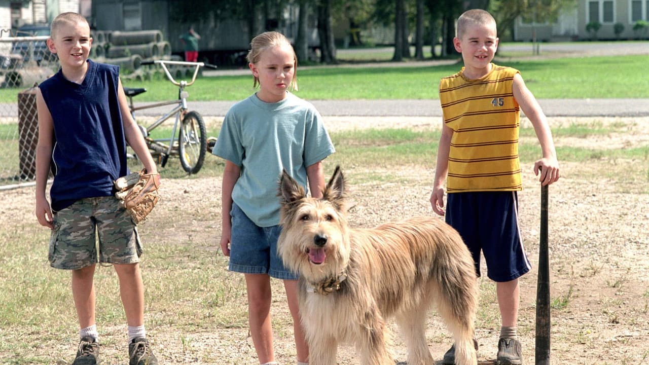 Because of Winn-Dixie still 7