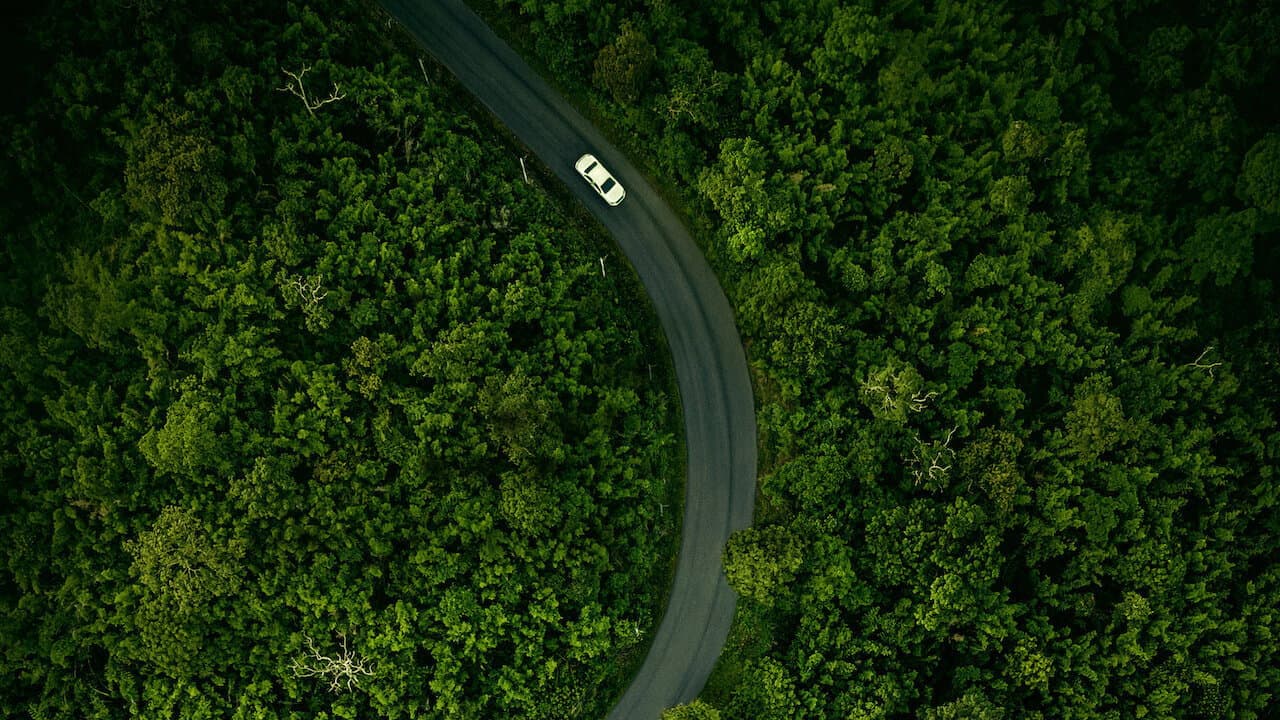 Hillbilly Elegy still 8