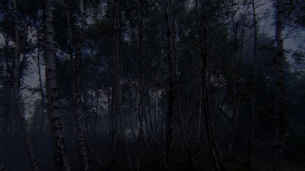 Torso still 5