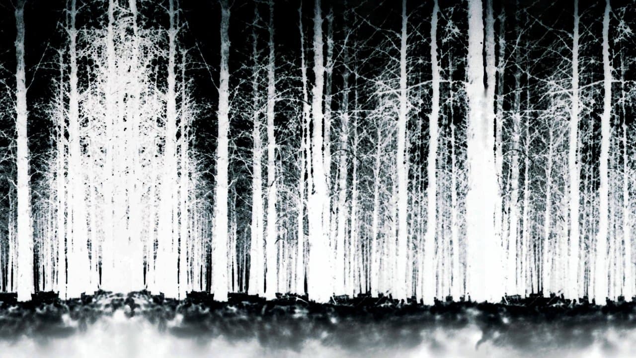 The Blair Witch Project still 4