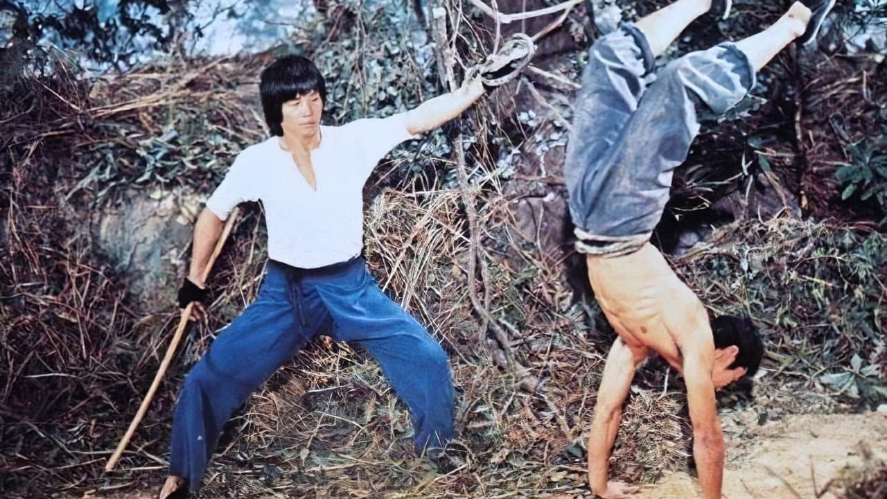 Mad Monkey Kung Fu still 4