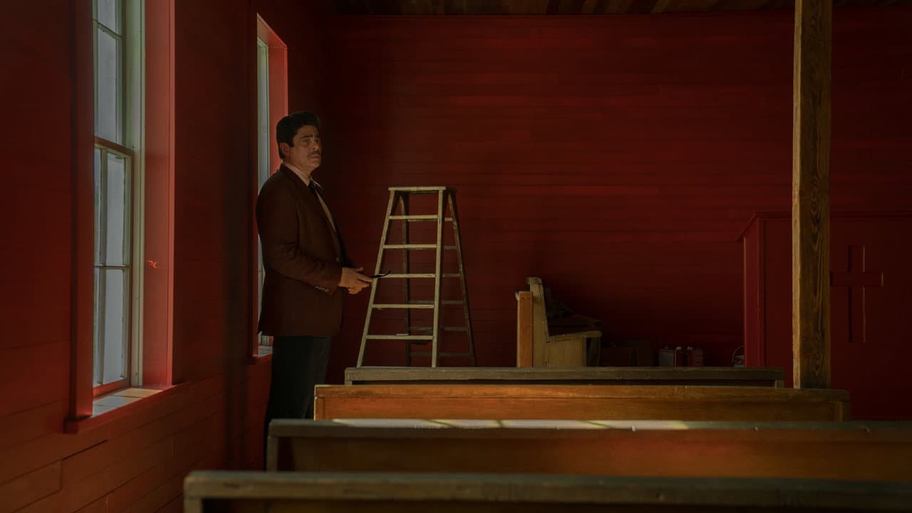 Reptile still 6