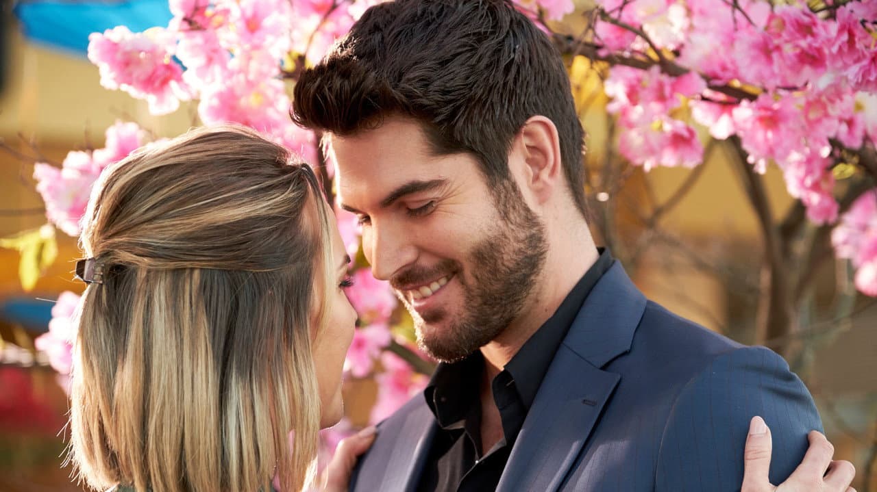 A Brush with Love still 6