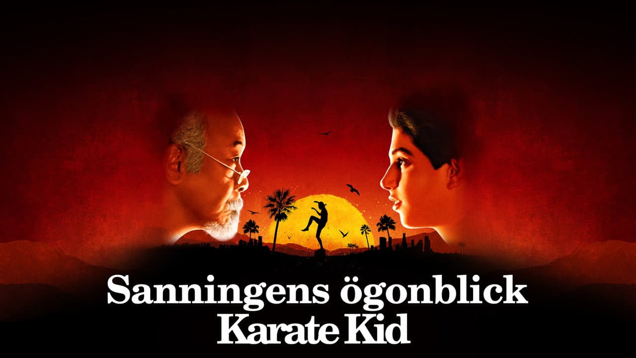 The Karate Kid still 2