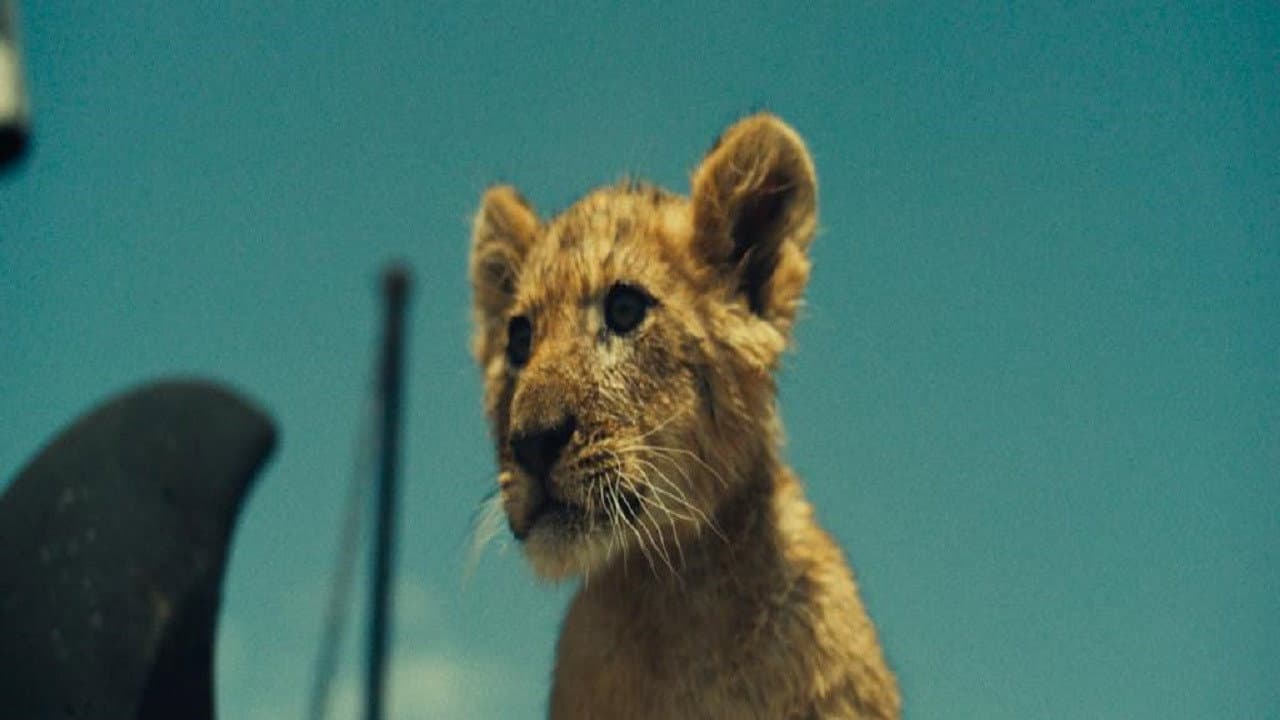 King still 5