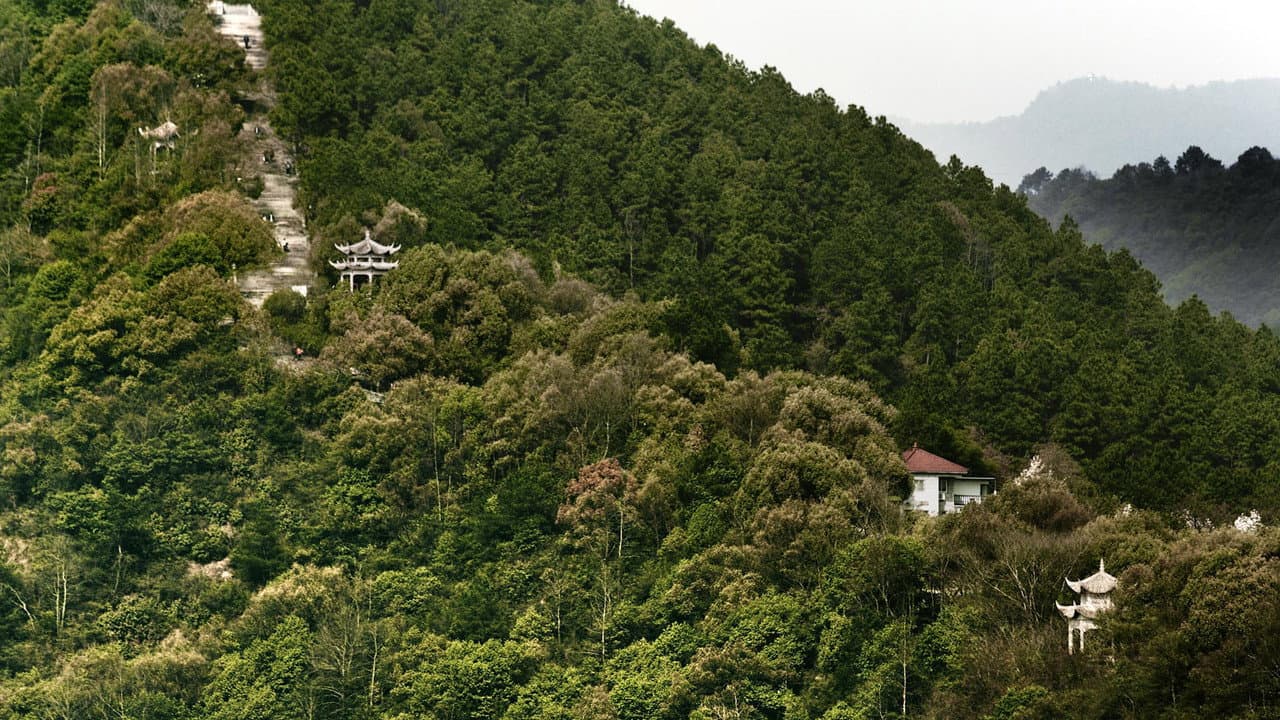 Dwelling in the Fuchun Mountains still 8