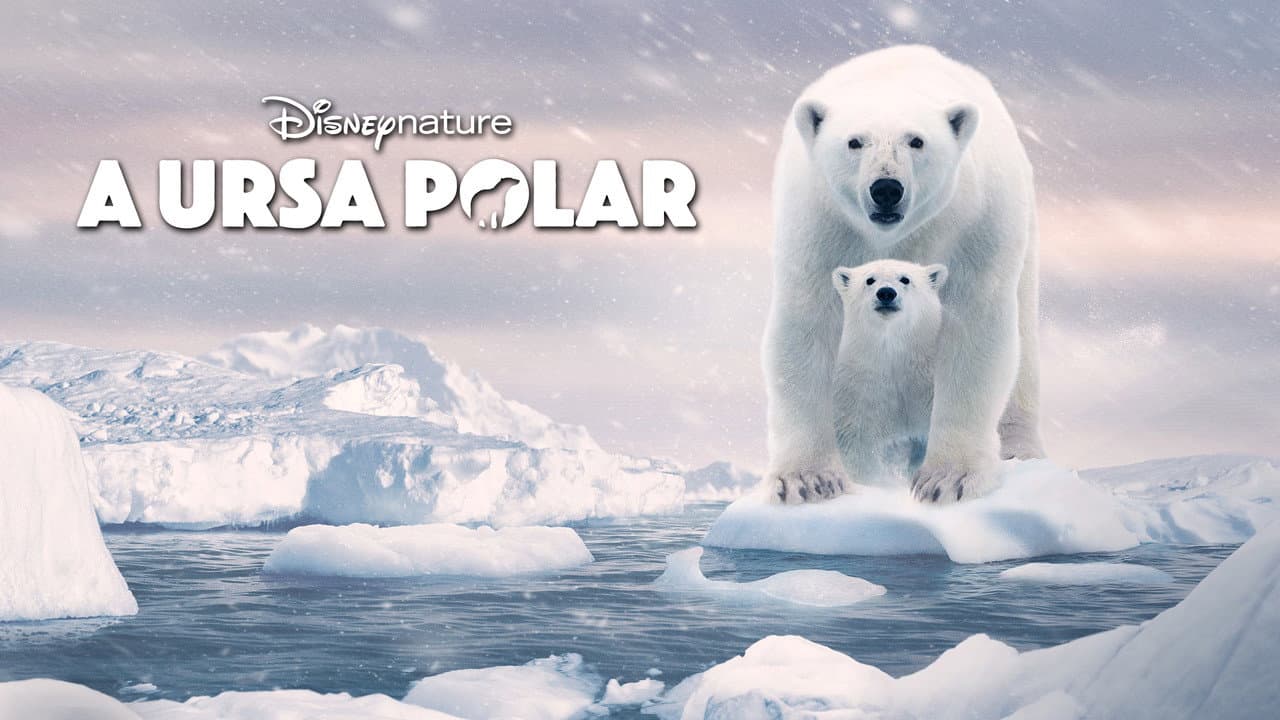 Polar Bear still 6