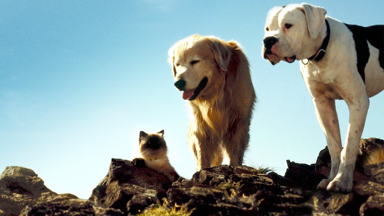 Homeward Bound: The Incredible Journey still 6