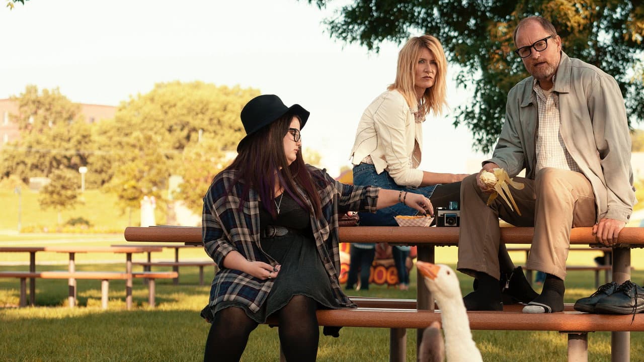Wilson still 3