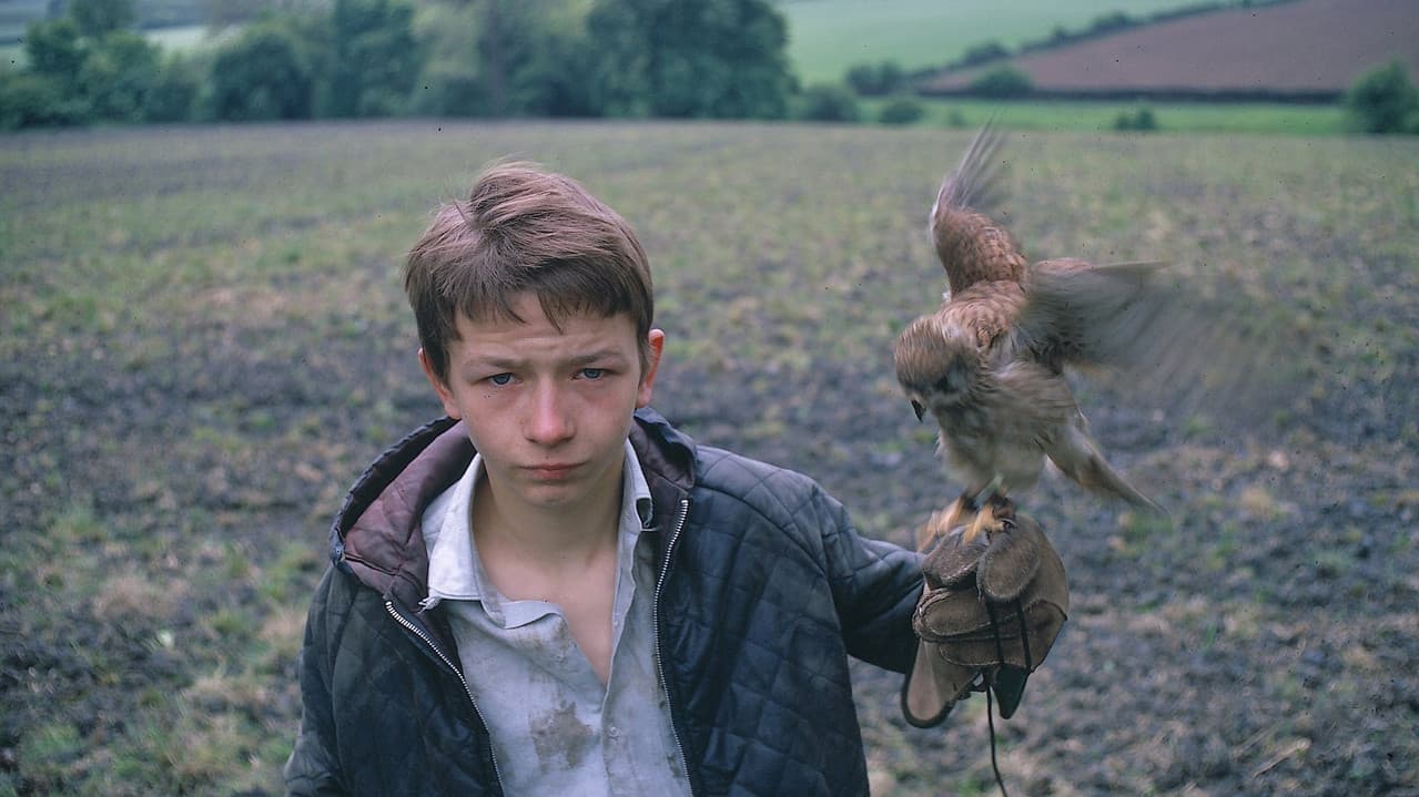 Kes still 6