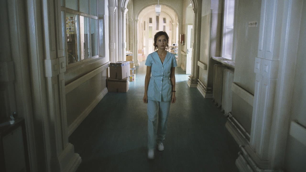 Fragile still 3
