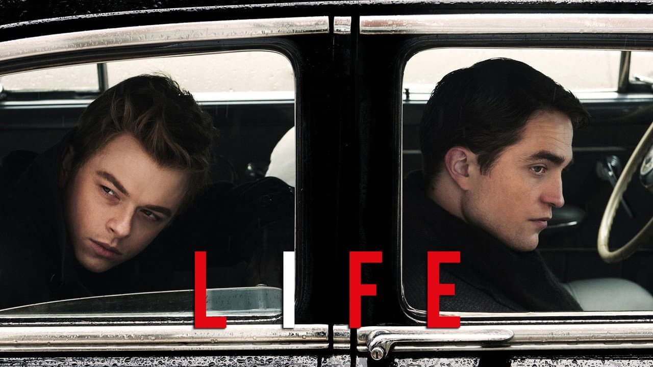 Life still 5