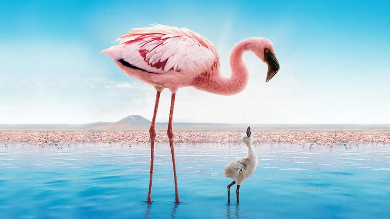 The Crimson Wing: Mystery of the Flamingos still 5
