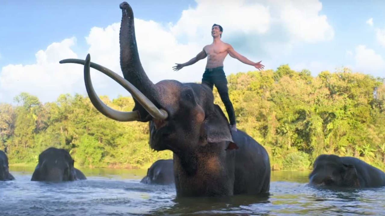 Junglee Movie News: Latest Updates & Reviews still 3