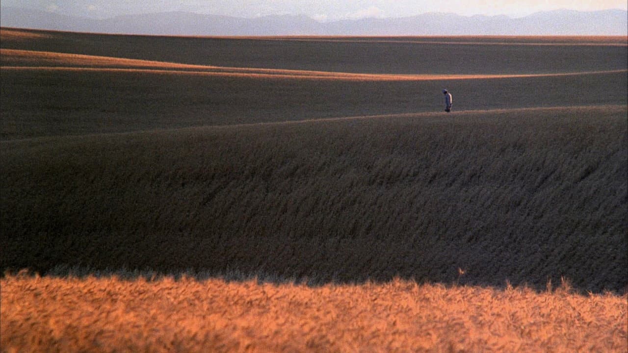 Days of Heaven still 8