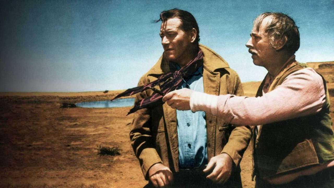The Searchers still 2