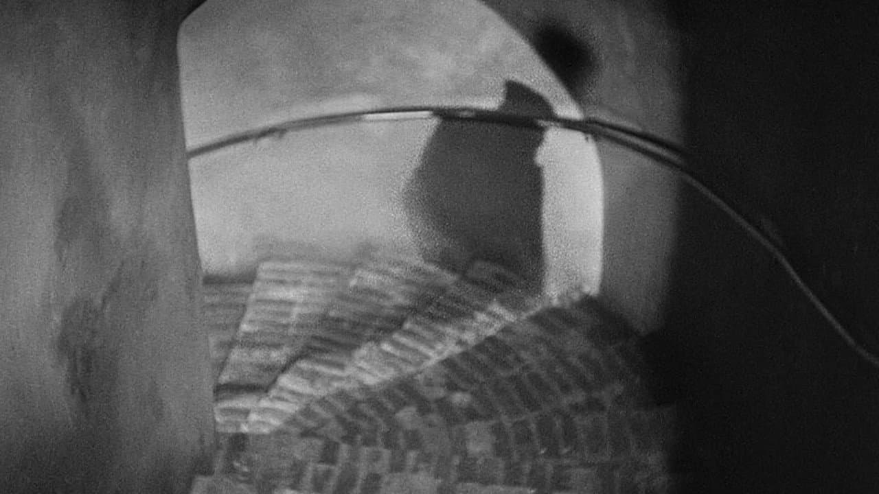 M still 6