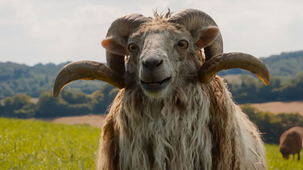 The Sheep Detectives still 8