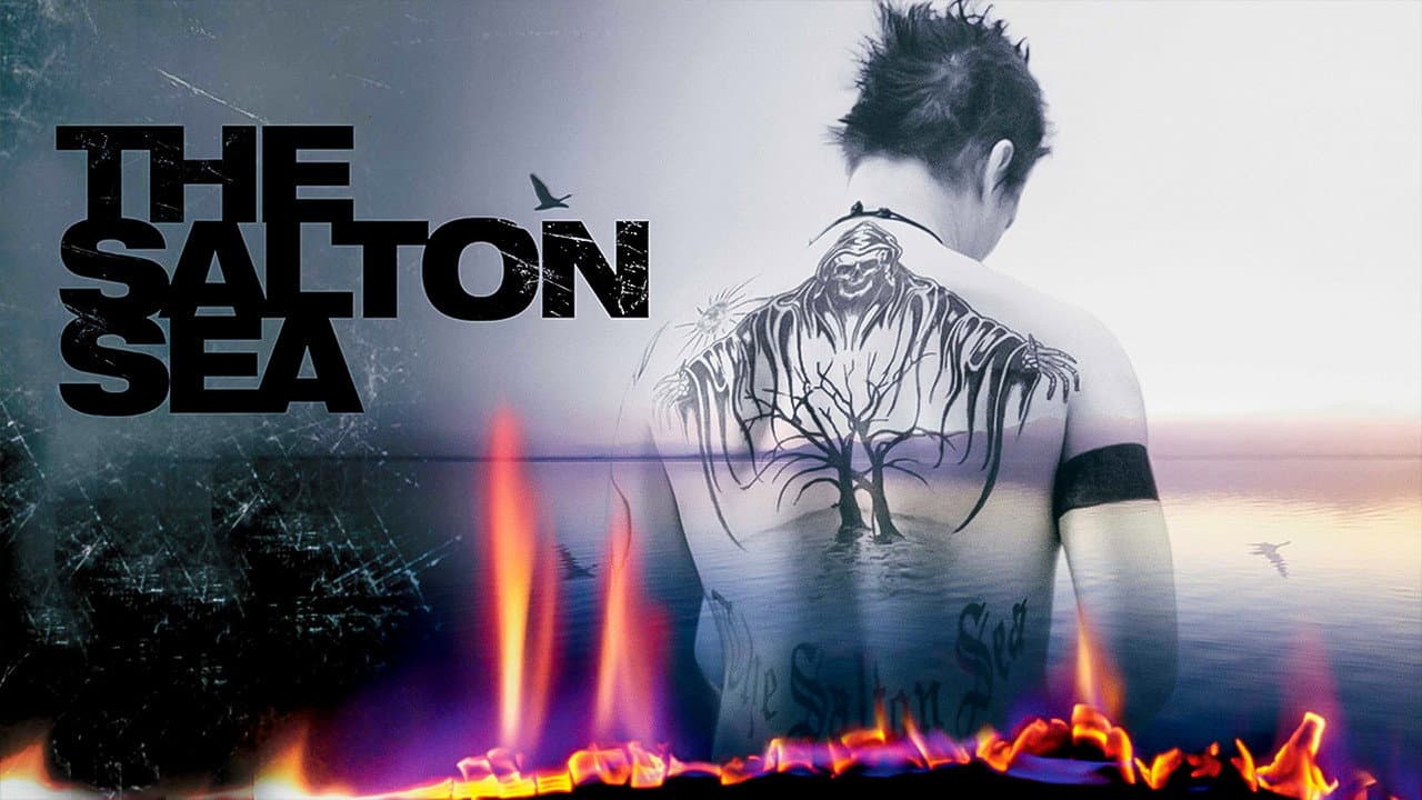 The Salton Sea still 5