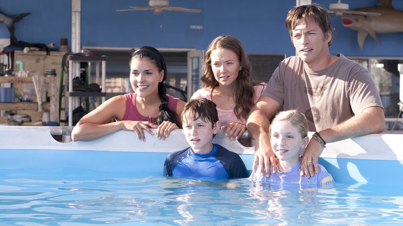 Dolphin Tale still 5
