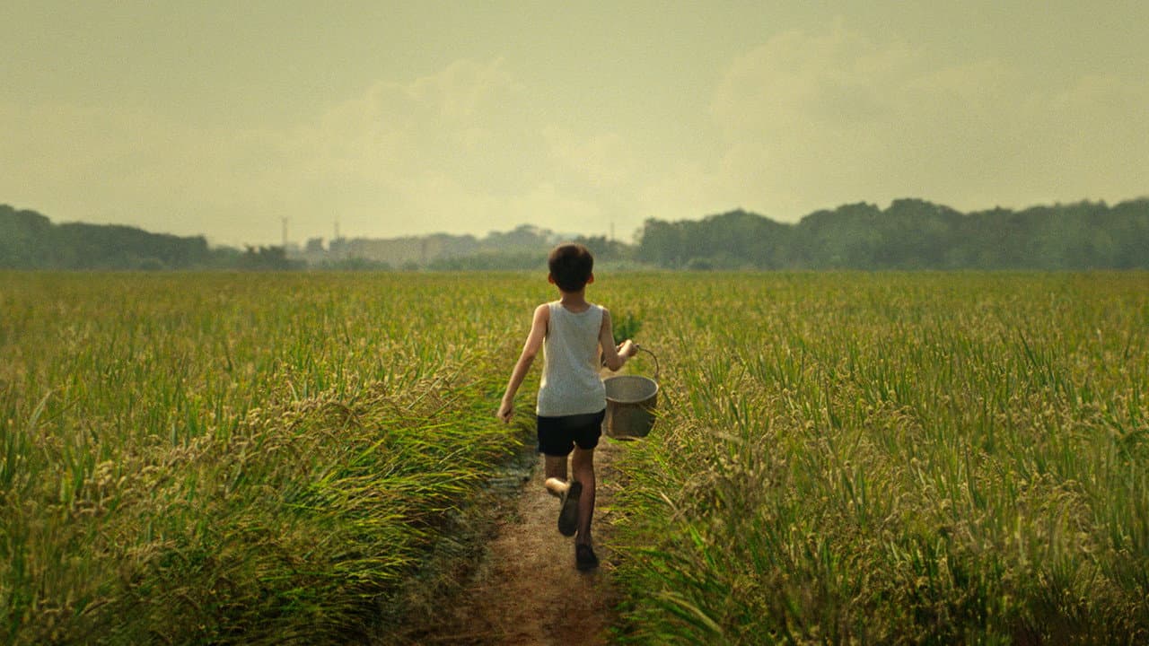 Tigertail still 2