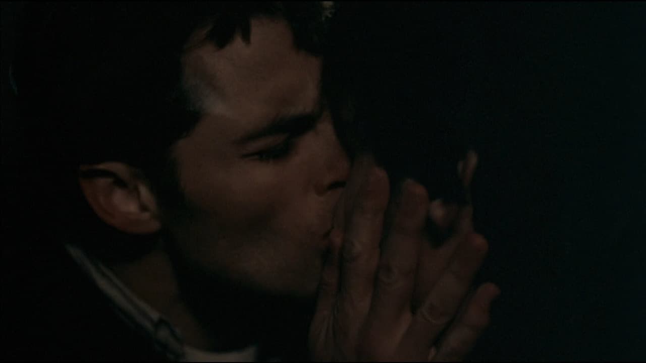 Heights still 8