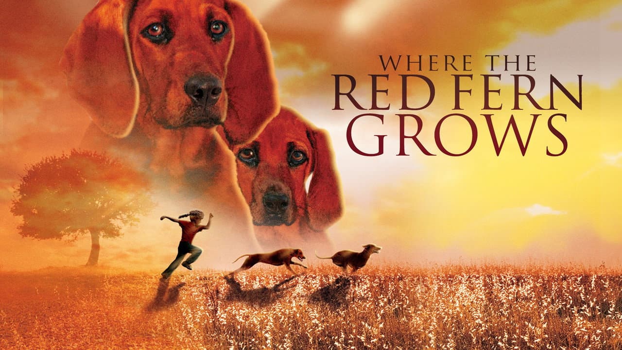 Where the Red Fern Grows still 4