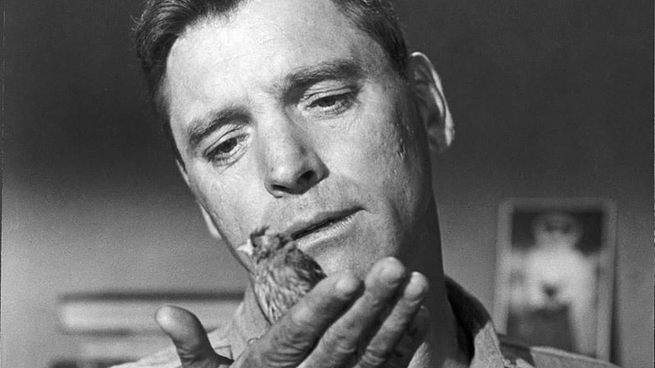 Birdman of Alcatraz still 6