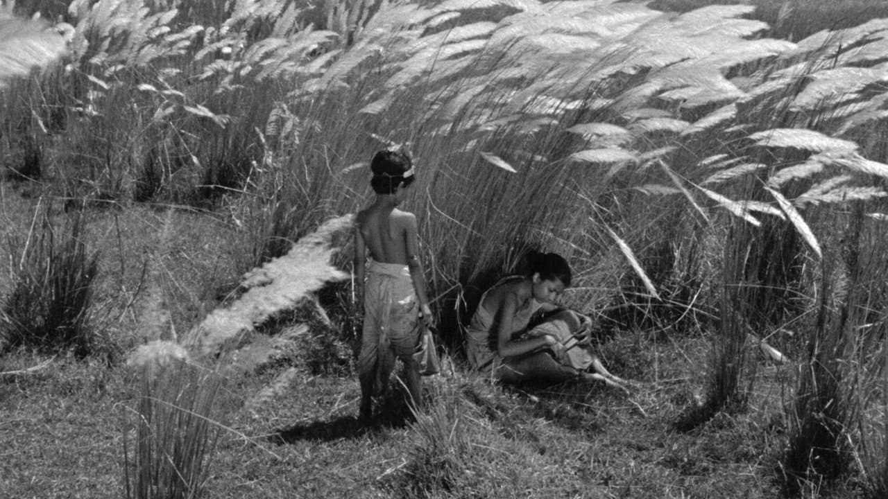 Pather Panchali: Why This Classic Still Matters still 4