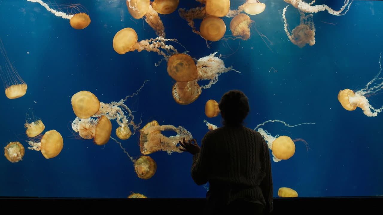 Remarkably Bright Creatures still 7