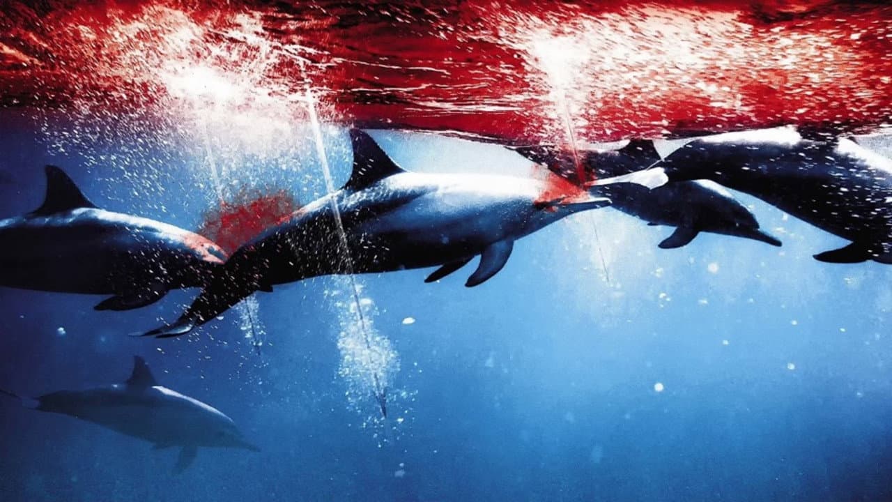 The Cove still 3