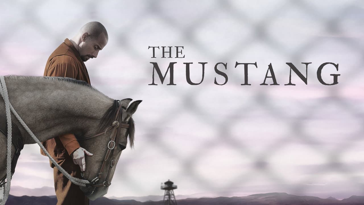 The Mustang still 4