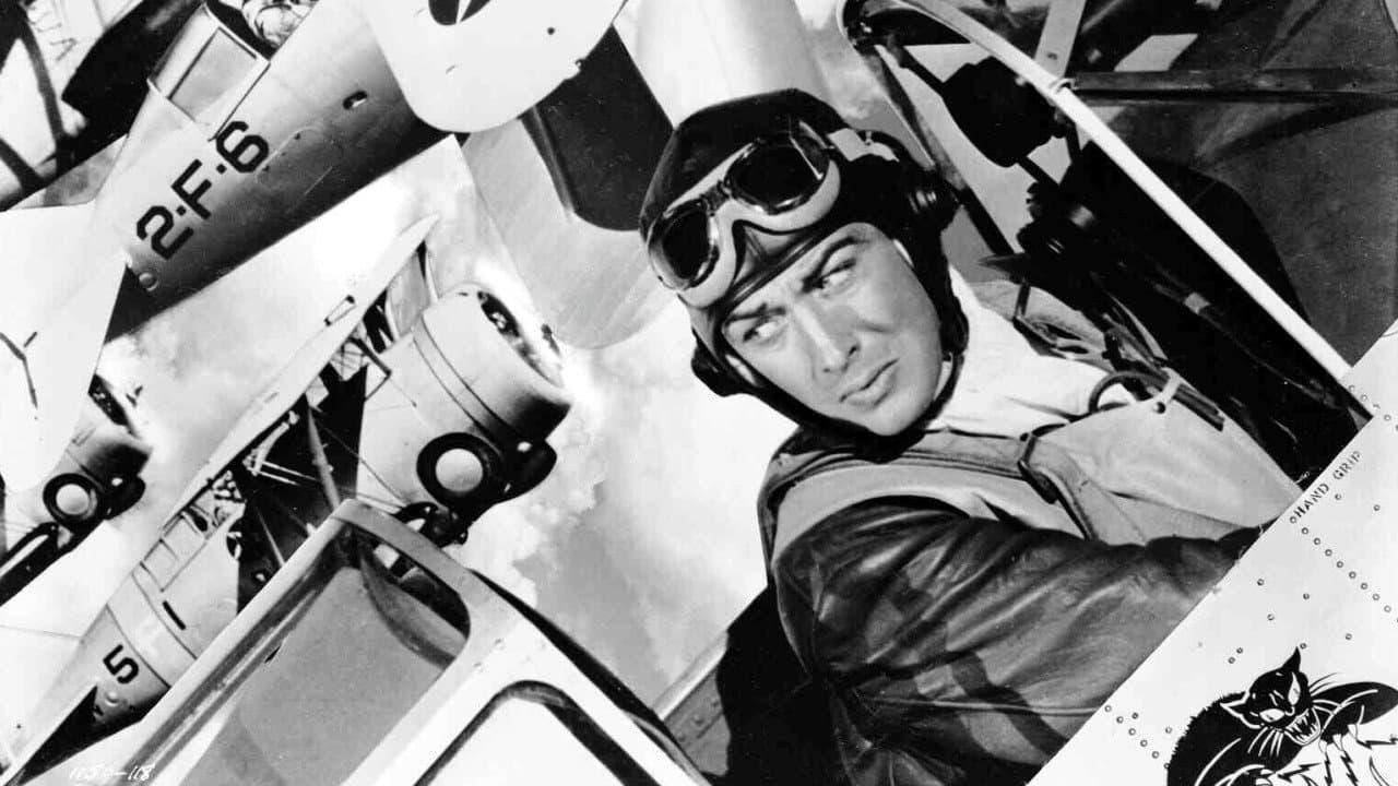 Flight Command still 1