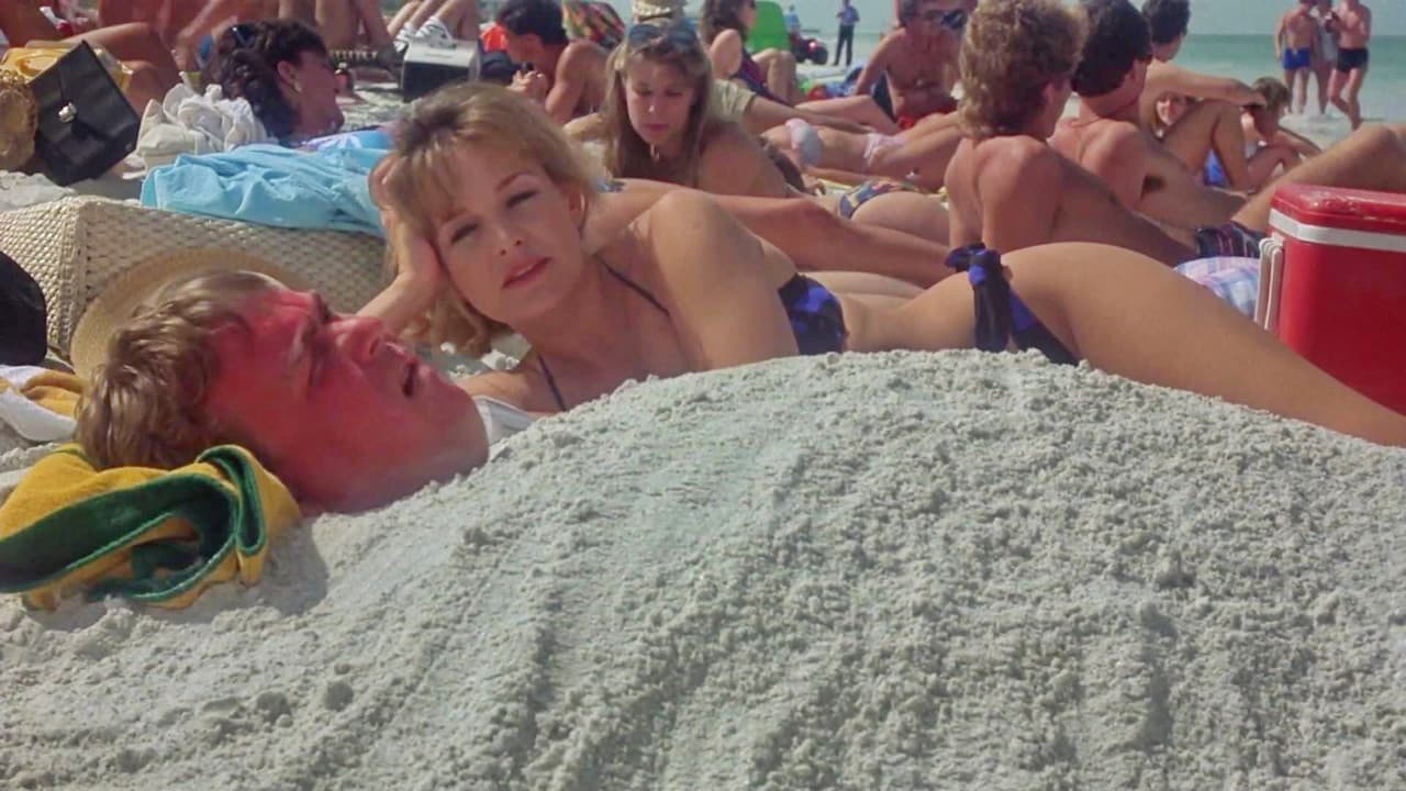 Summer Rental still 3