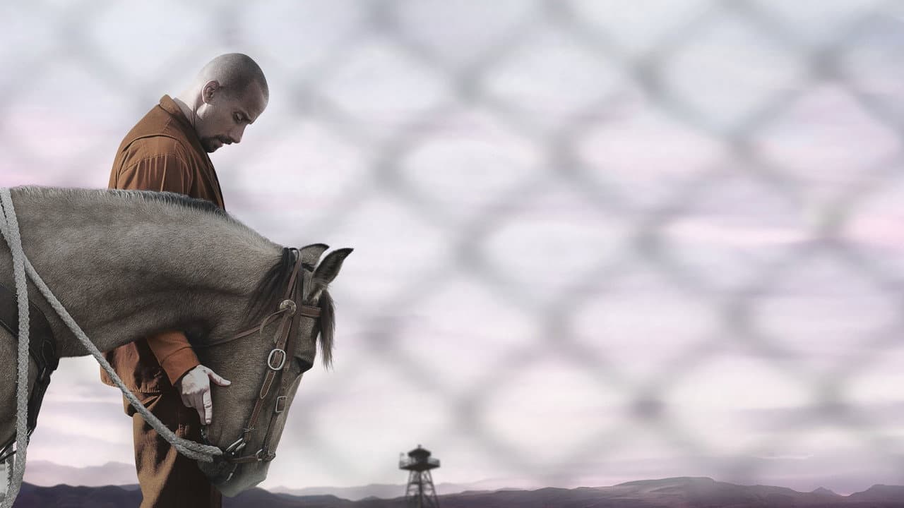 The Mustang still 5