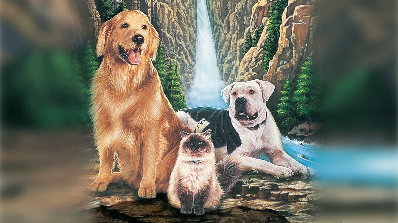 Homeward Bound: The Incredible Journey still 8