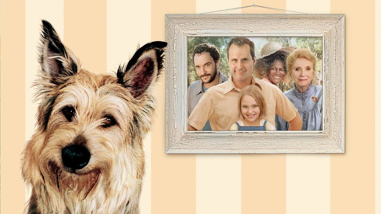 Because of Winn-Dixie still 2