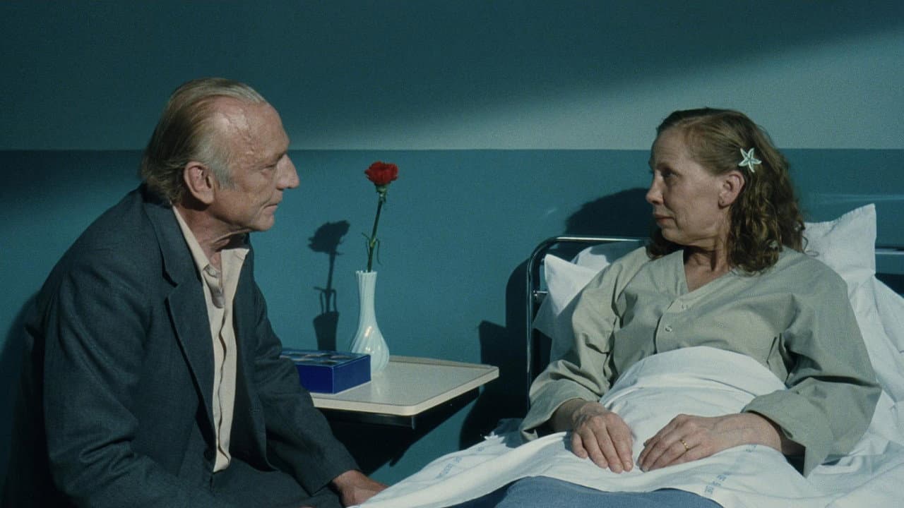 Le Havre still 4
