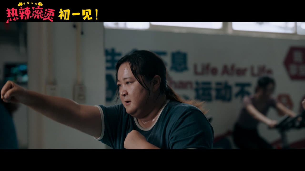 Yolo still 3