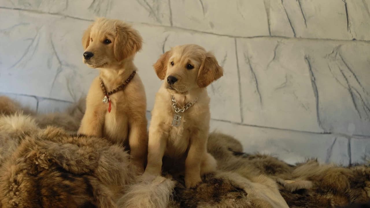Snow Buddies still 7