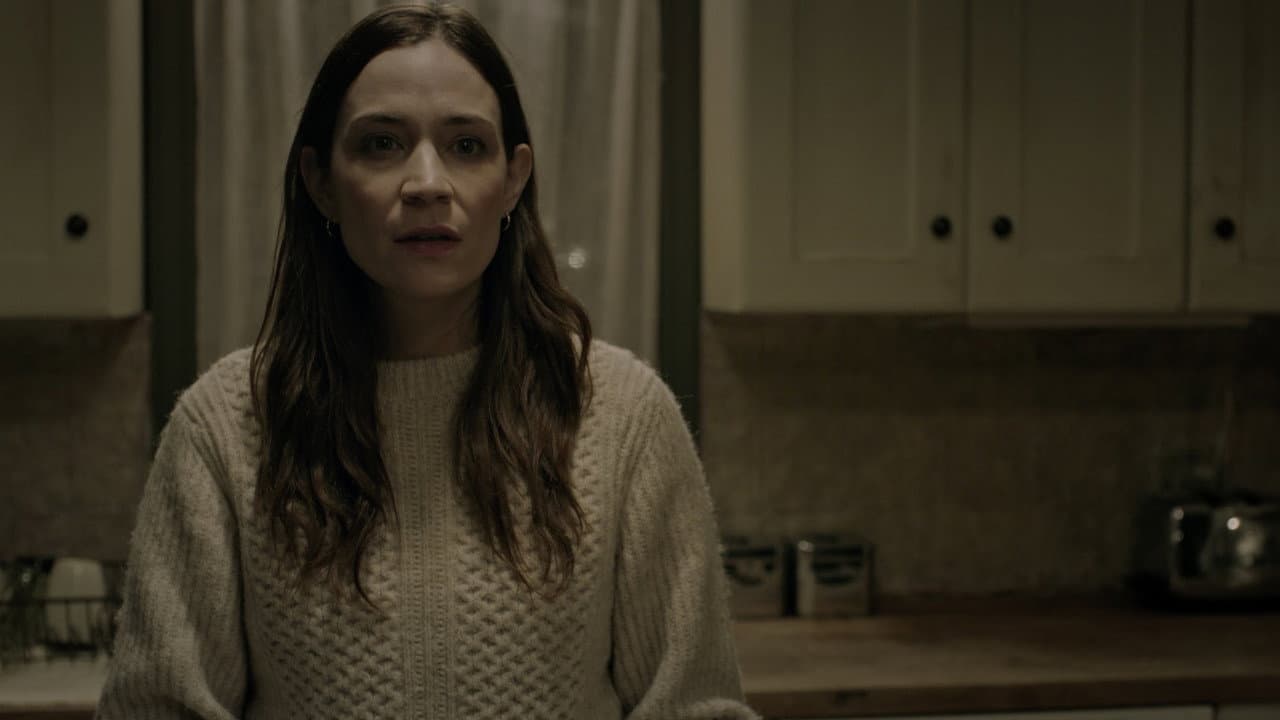 The Dogs still 3