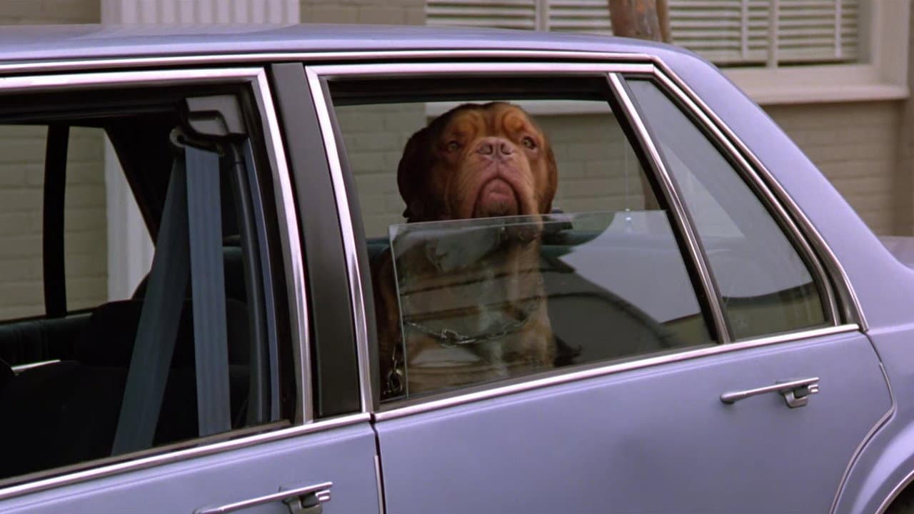 Turner & Hooch still 8