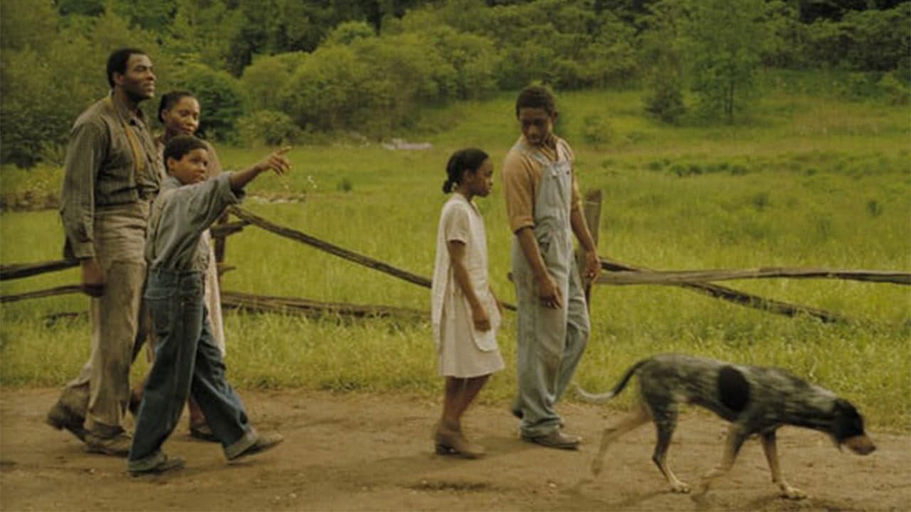Sounder still 4