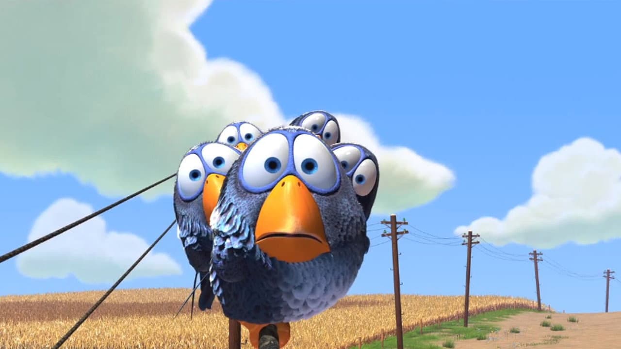 For the Birds still 5
