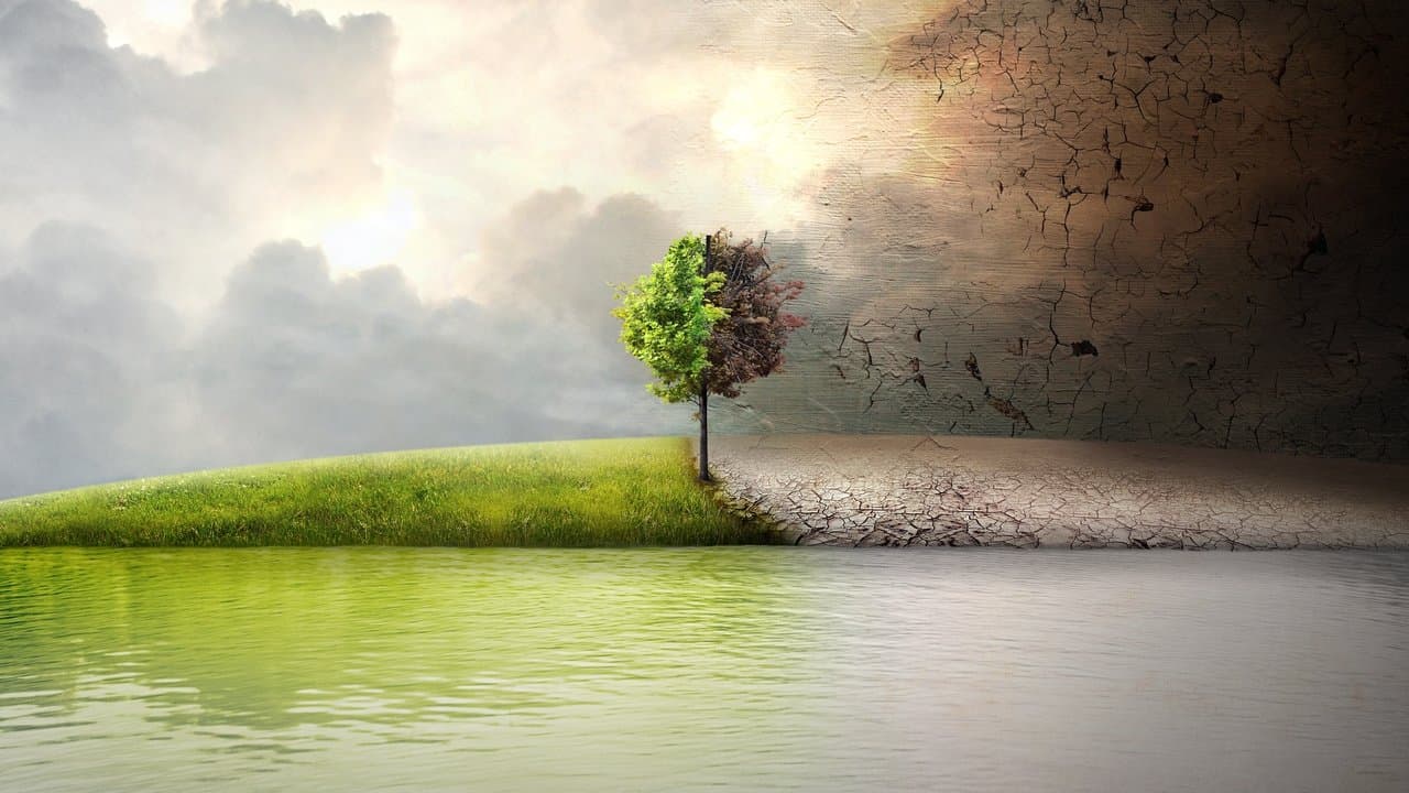 Before the Flood still 2