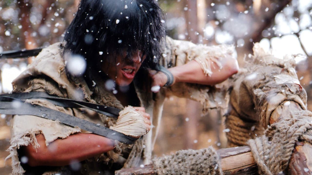 Fighter in the Wind still 6