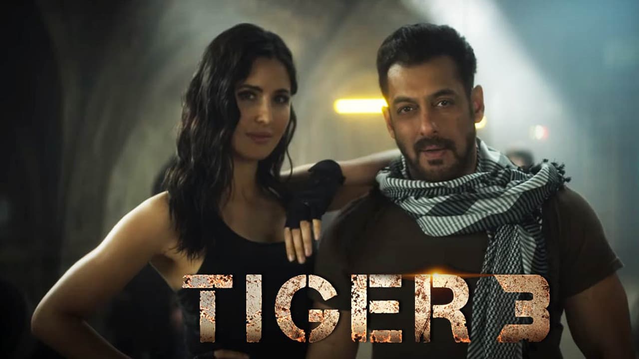Tiger 3 still 4